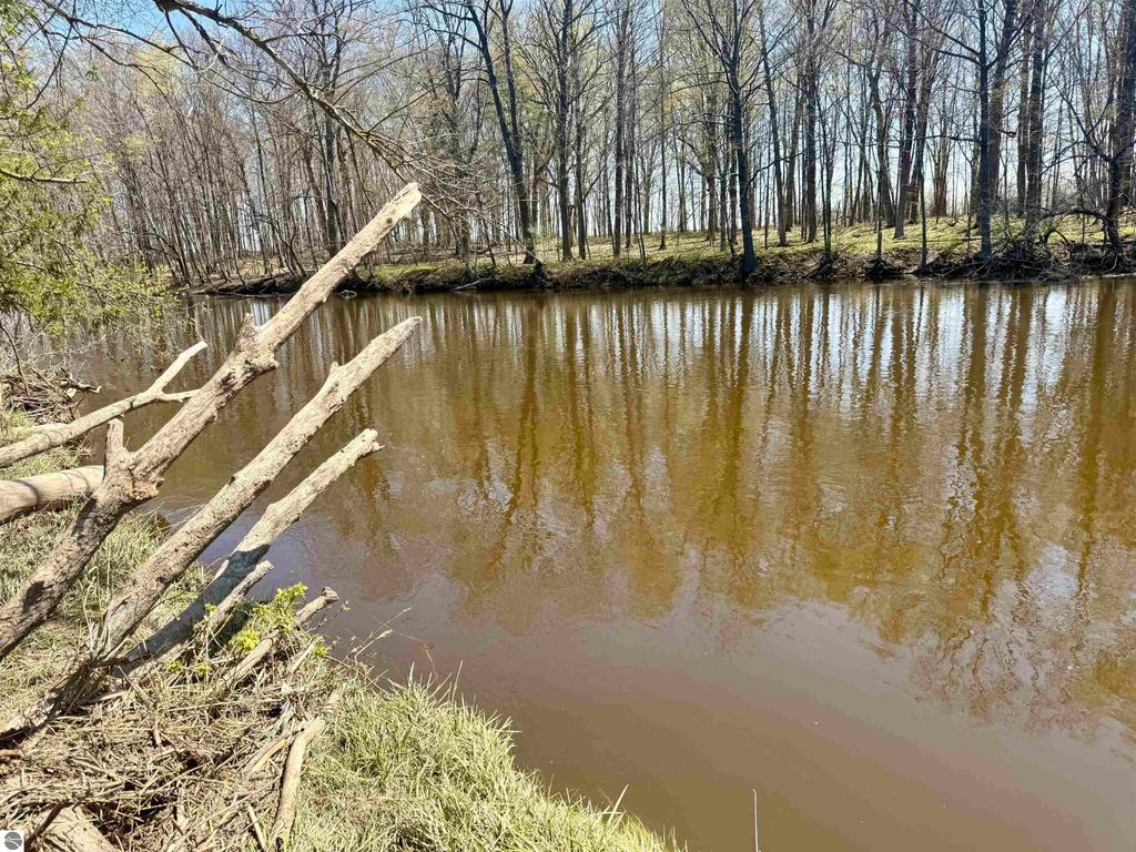 Image 8 of property listing at 11000 Riverside Drive, St Louis, MI 48880