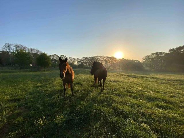 4005 S Apple Valley Road, Commerce, GA 30529