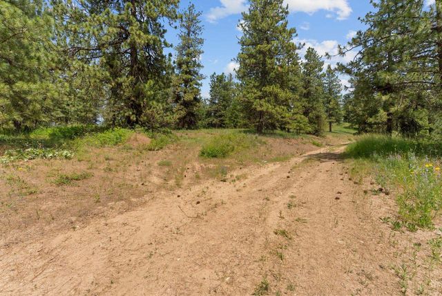 NNA Scribner Branch Rd, Mead, WA 99217