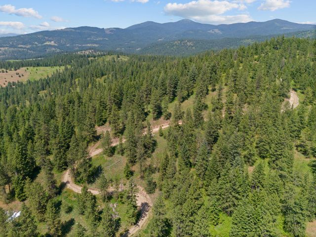 NNA Scribner Branch Rd, Mead, WA 99217