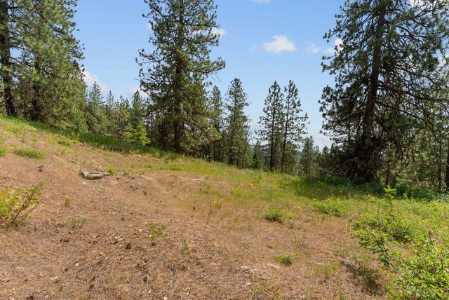 NNA Scribner Branch Rd, Mead, WA 99217