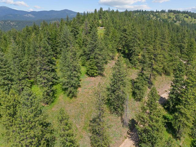NNA Scribner Branch Rd, Mead, WA 99217