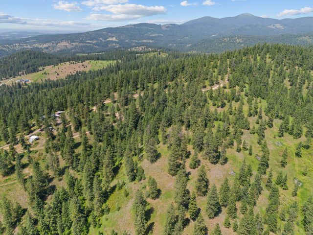 NNA Scribner Branch Rd, Mead, WA 99217