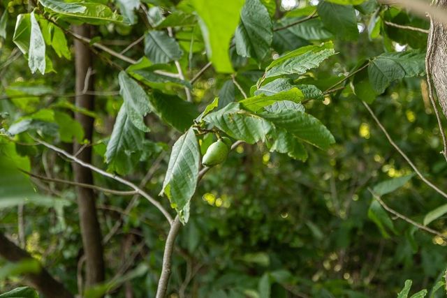 701 N Bly Road, Independence, MO 64056