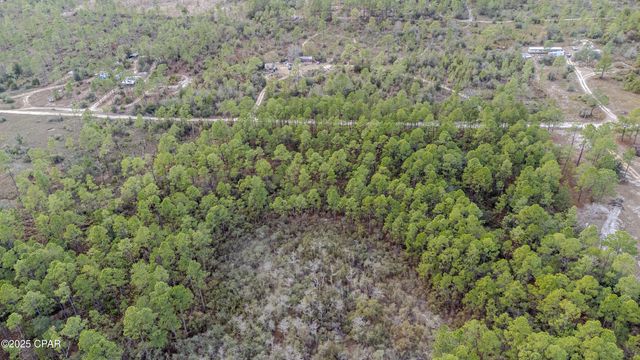 3-1N-11W Baker Road, Altha, FL 32421