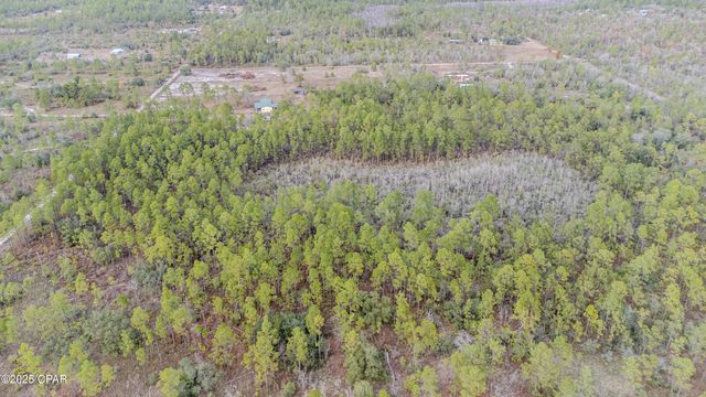 3-1N-11W Baker Road, Altha, FL 32421