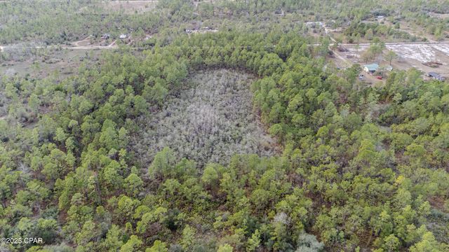 3-1N-11W Baker Road, Altha, FL 32421