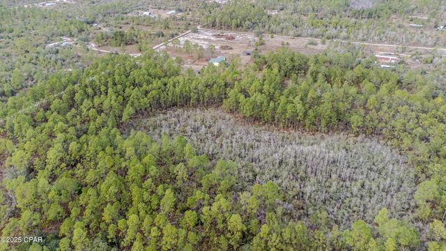 3-1N-11W Baker Road, Altha, FL 32421