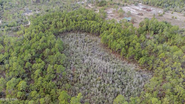 3-1N-11W Baker Road, Altha, FL 32421