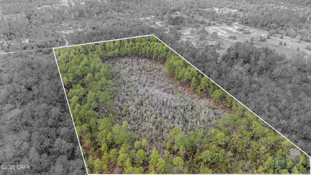 3-1N-11W Baker Road, Altha, FL 32421