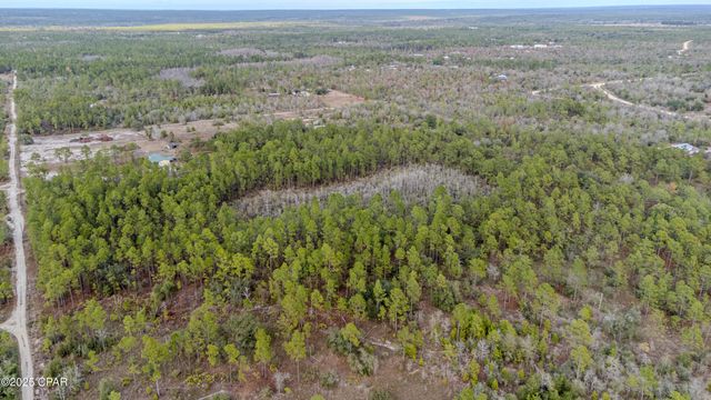 3-1N-11W Baker Road, Altha, FL 32421