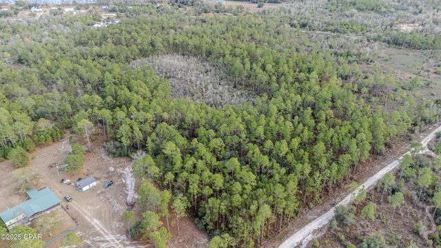 3-1N-11W Baker Road, Altha, FL 32421