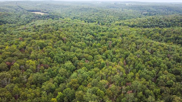 000 County Road 1990, Willow Springs, MO 65793