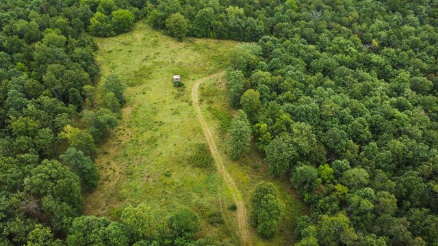 000 County Road 1990, Willow Springs, MO 65793