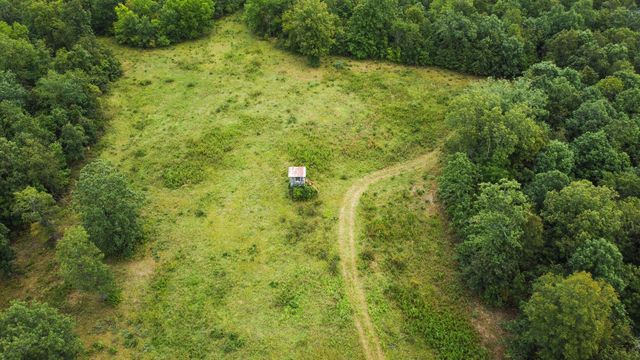 000 County Road 1990, Willow Springs, MO 65793