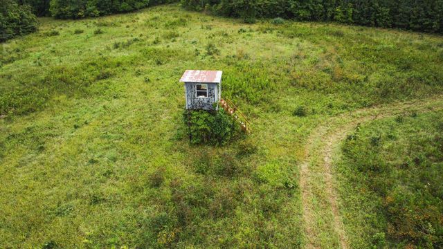 000 County Road 1990, Willow Springs, MO 65793