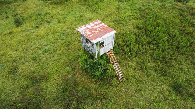 000 County Road 1990, Willow Springs, MO 65793