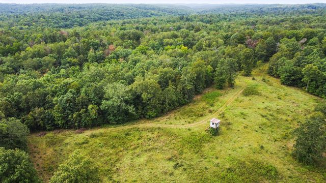 000 County Road 1990, Willow Springs, MO 65793