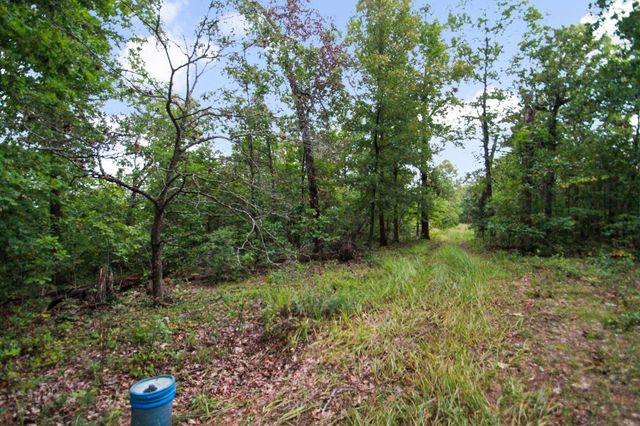 000 County Road 1990, Willow Springs, MO 65793