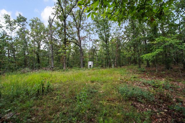 000 County Road 1990, Willow Springs, MO 65793