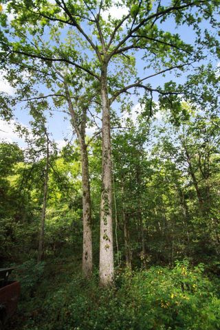 000 County Road 1990, Willow Springs, MO 65793