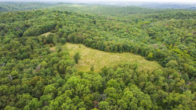 000 County Road 1990, Willow Springs, MO 65793