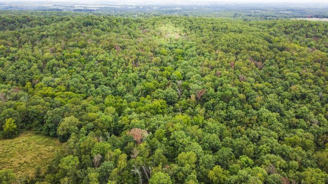 000 County Road 1990, Willow Springs, MO 65793