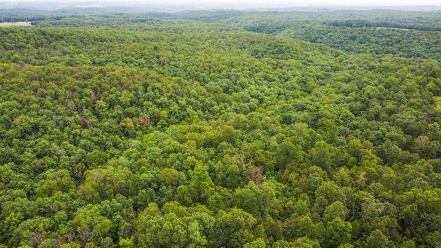 000 County Road 1990, Willow Springs, MO 65793