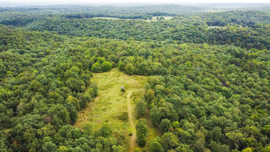 000 County Road 1990, Willow Springs, MO 65793