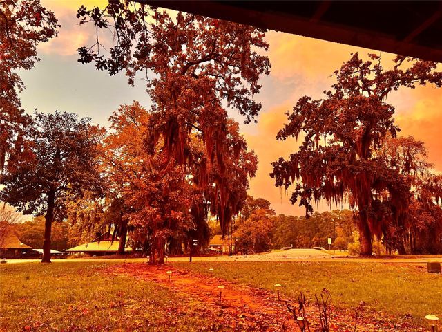 1 West Forest Dr, Huntsville, TX 77340