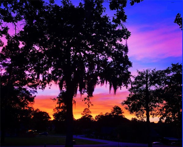 1 West Forest Dr, Huntsville, TX 77340