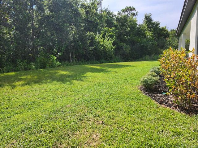 3101 AGOSTINO TERRACE, Kissimmee, FL 34746