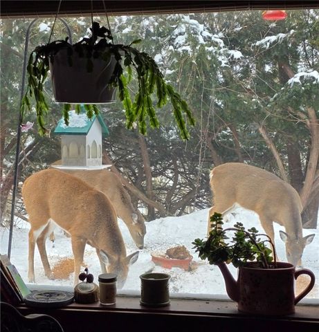 1096 Filkins, Arcadia, NY 14513