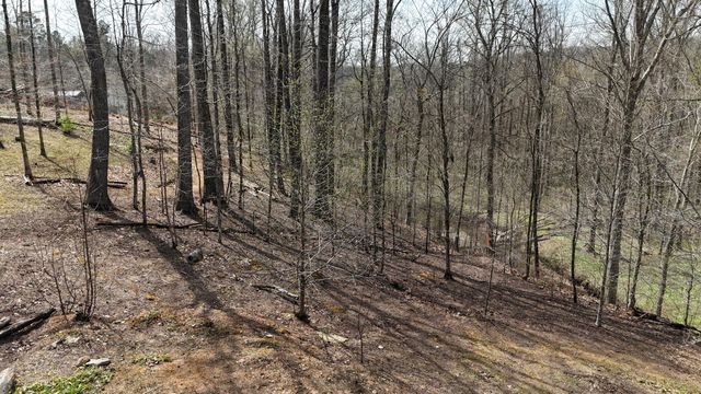 561 Geren Subdivision Lane, Decatur, TN 37322