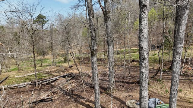 561 Geren Subdivision Lane, Decatur, TN 37322