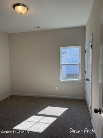 115 Molly Rice Branch Court, Jacksonville, NC 28546