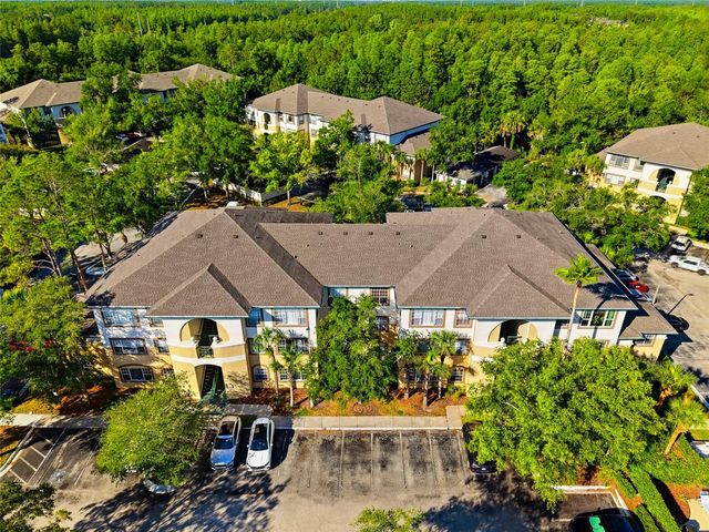17101 CARRINGTON PARK DRIVE 419, Tampa, FL 33647