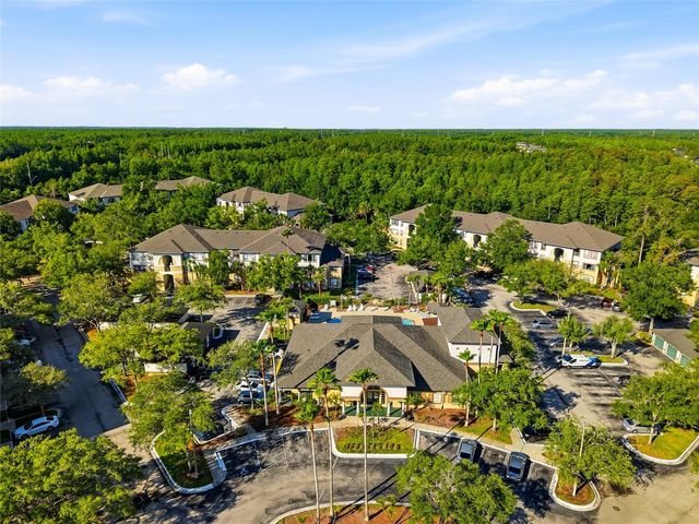 17101 CARRINGTON PARK DRIVE 419, Tampa, FL 33647