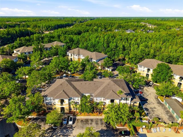 17101 CARRINGTON PARK DRIVE 419, Tampa, FL 33647