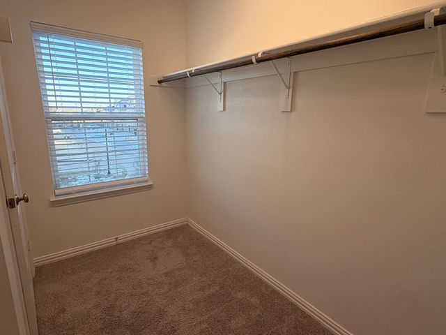 2241 Adena Springs Drive, Allen, TX 75013