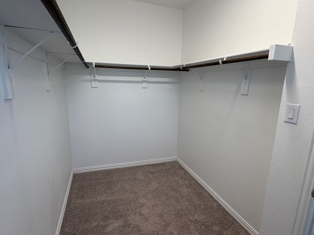 2241 Adena Springs Drive, Allen, TX 75013