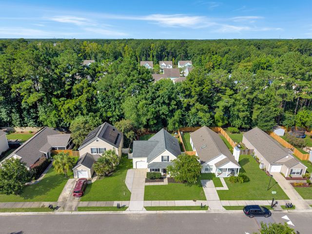 1137 Peninsula Cove Drive, Charleston, SC 29492