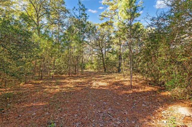 45 Oak Glen, Huntsville, TX 77320