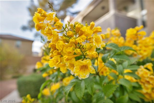 711 Bass Drive D, Henderson, NV 89014