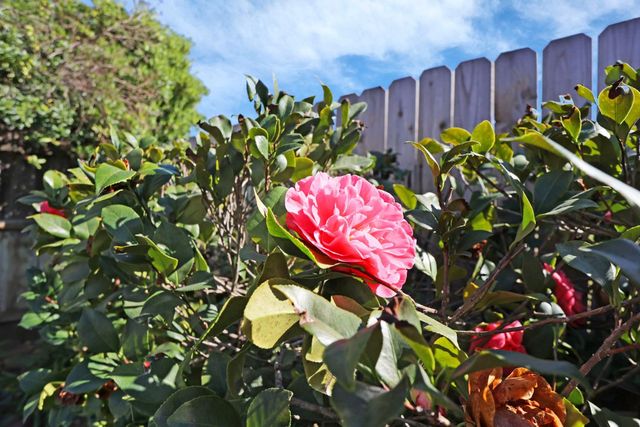 724 Adare Way, Galt, CA 95632