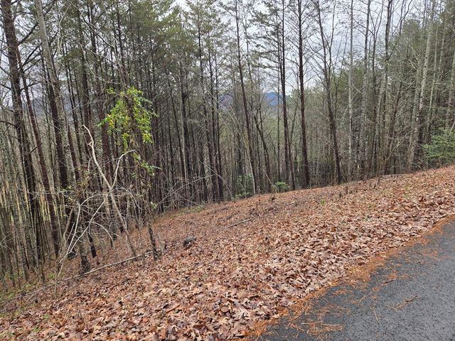 Lot 101 Eagles View Crescent, Hayesville, NC 28904