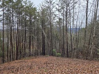 Lot 101 Eagles View Crescent, Hayesville, NC 28904