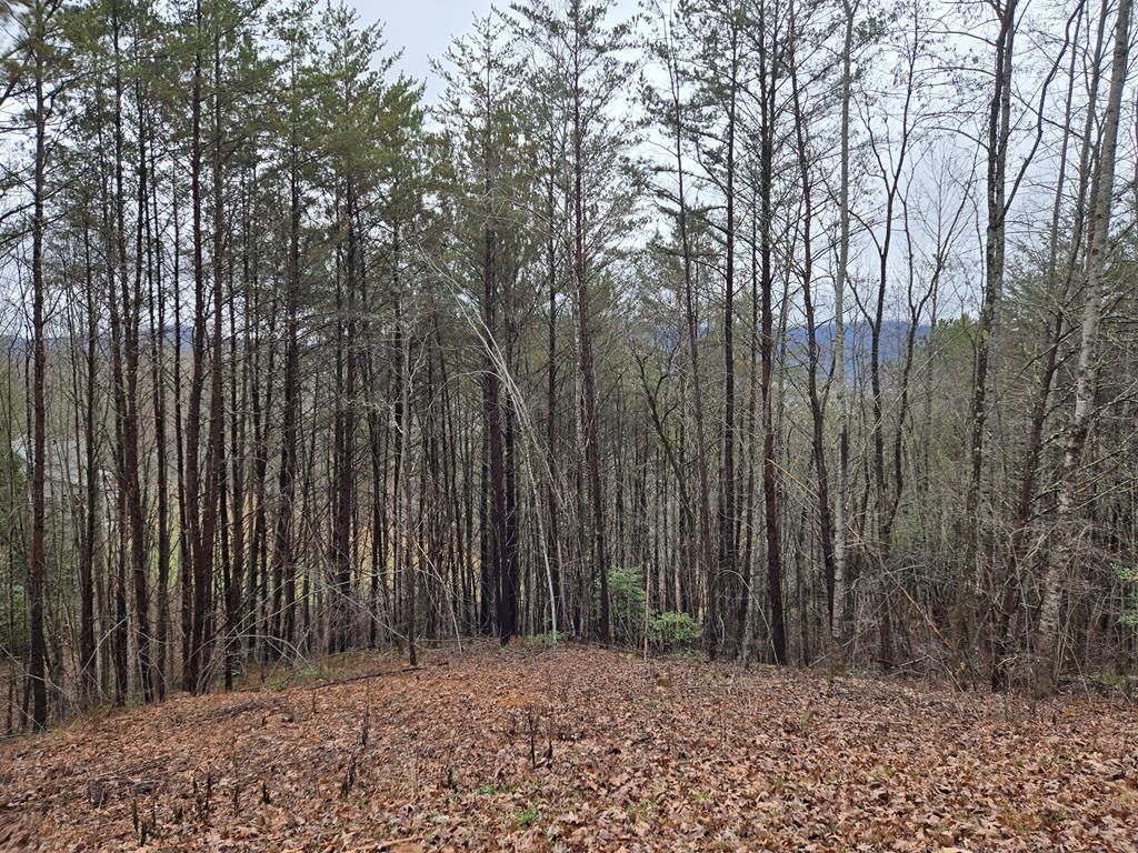 Lot 101 Eagles View Crescent, Hayesville, NC 28904