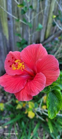 4026 SW Haycroft Street, Port St. Lucie, Port St Lucie, FL 34953