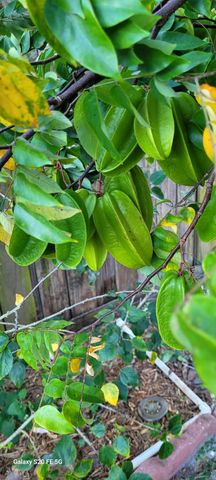 4026 SW Haycroft Street, Port St. Lucie, Port St Lucie, FL 34953